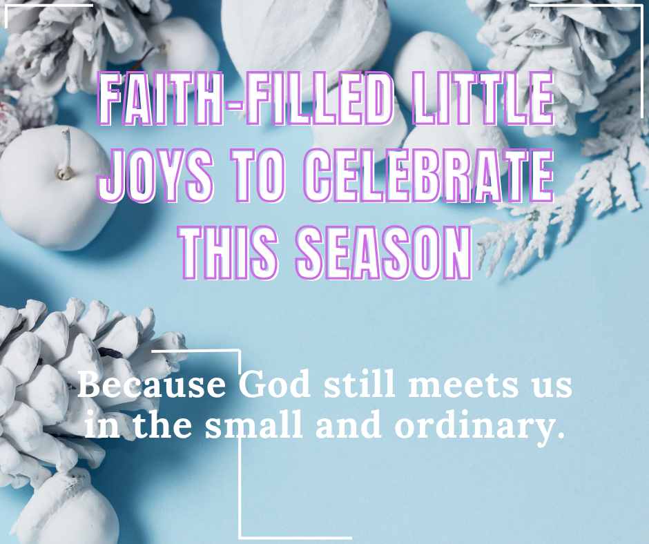 Faith-Filled Joys of the Season: 20 Little Blessings to Celebrate Every Day
